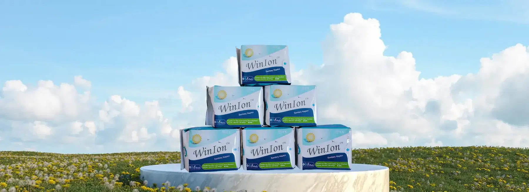Sanitary Napkins